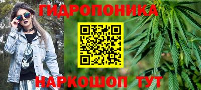 стаф Моздок