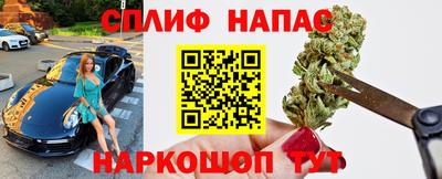 стаф Моздок