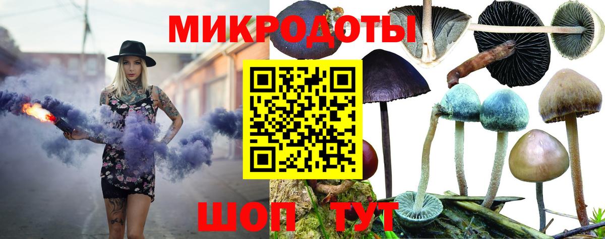Черкесск  Галлюциногенные грибы Cubensis  Вход с VPN 